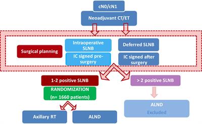 Axillary lymph node dissection versus radiotherapy in breast cancer with positive sentinel nodes after neoadjuvant therapy (ADARNAT trial)